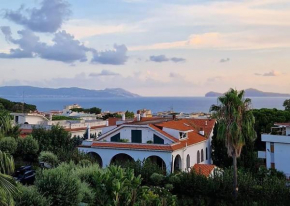 Casa Olivella